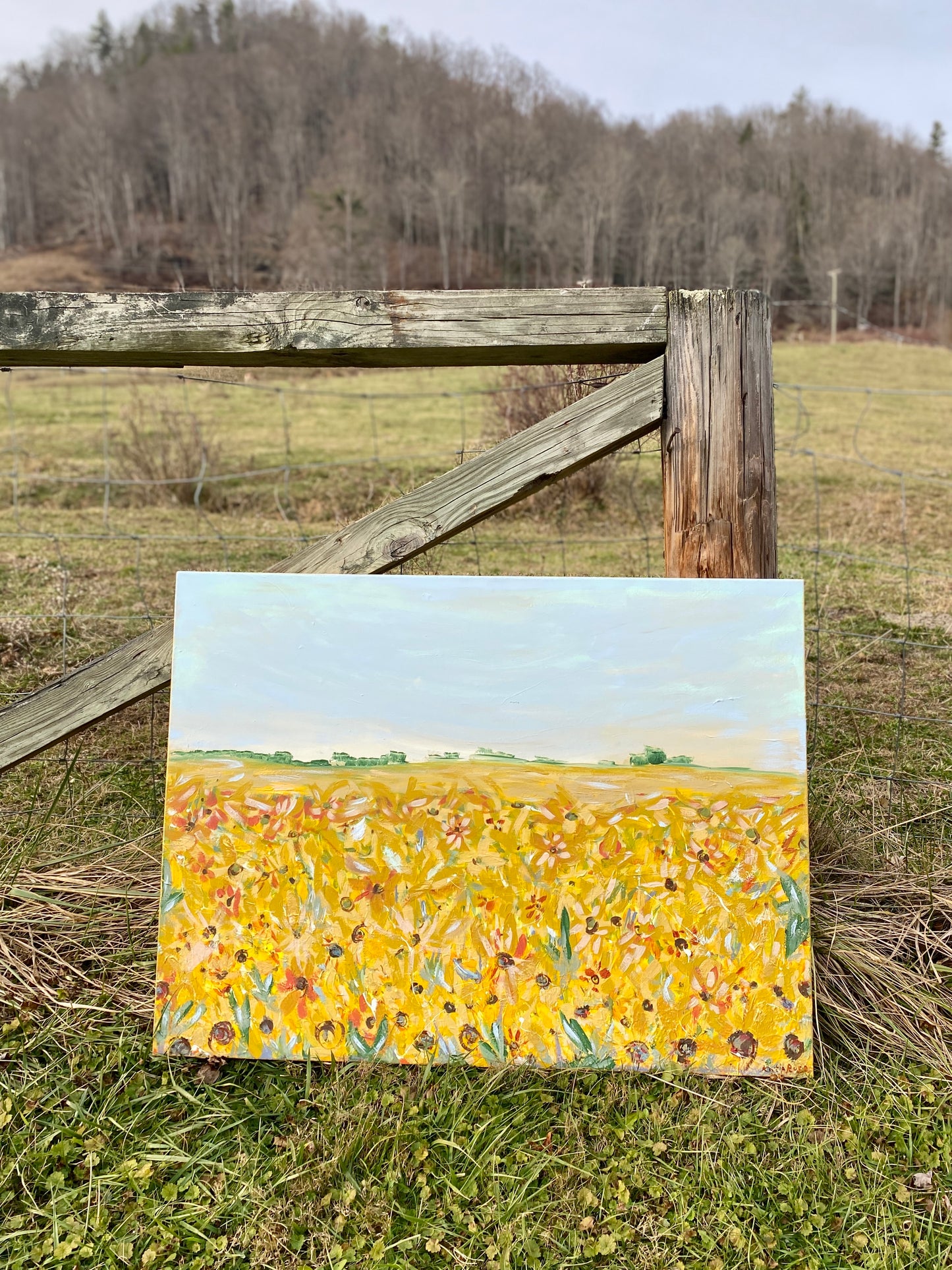 Somewhere Over The Sunflowers 30x40