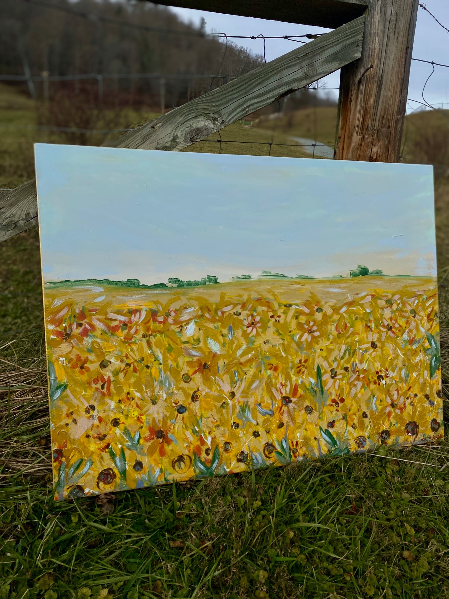 Somewhere Over The Sunflowers 30x40