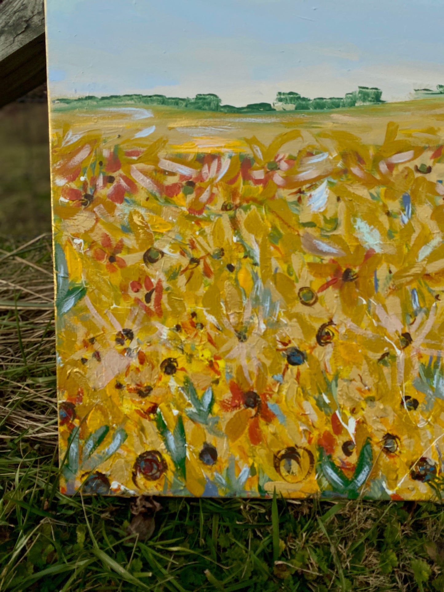 Somewhere Over The Sunflowers 30x40