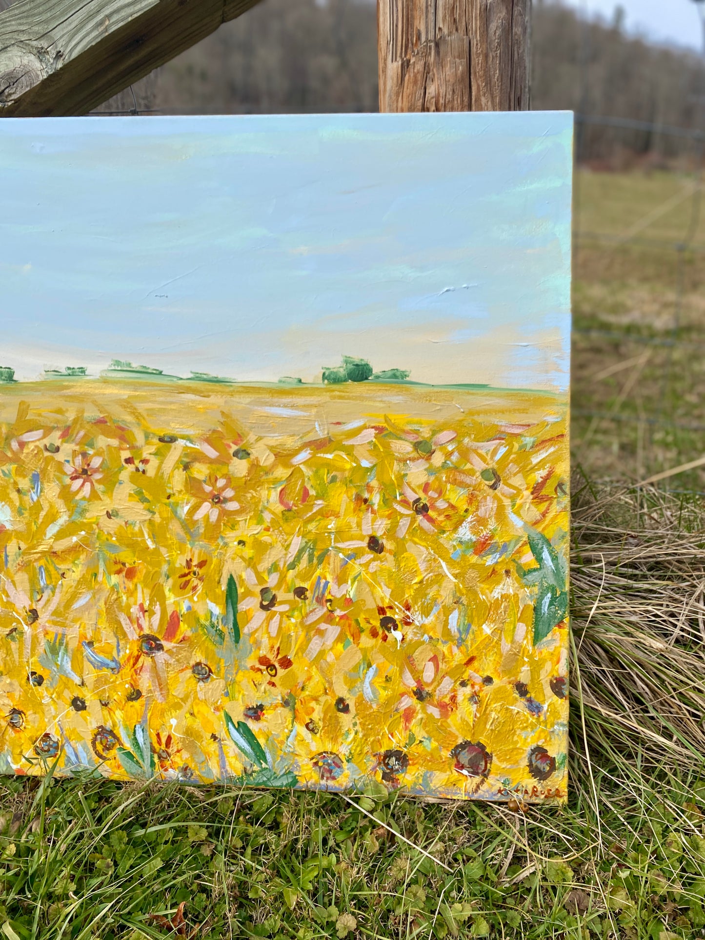 Somewhere Over The Sunflowers 30x40